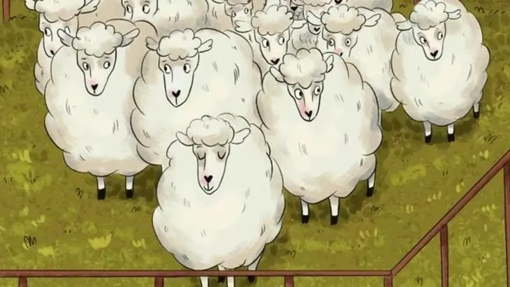 Zeka Testi: Koyunlar arasında gizlenmiş kurdu sadece 5 saniyede bulabilir misin?