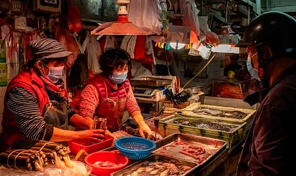 DSÖ koronavirüsün hayvanlardan insanlara nasıl geçtiğini araştıracak