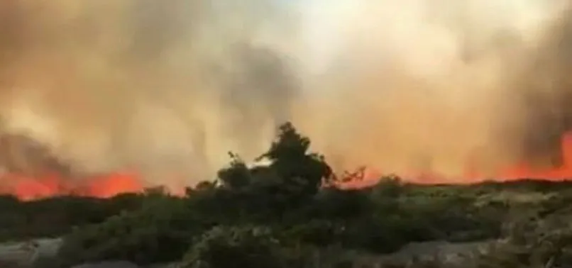 Son Dakika Cesme Alacati Da Orman Yangini A Haber En Son Haberler