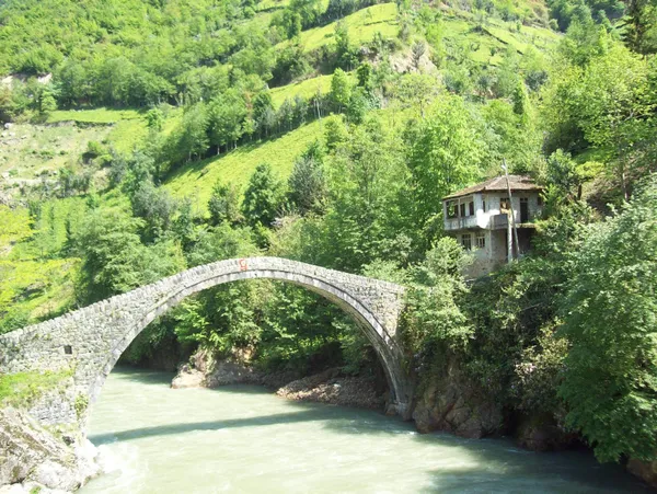 Türkiye’nin çay ihracatında yüzde 25’lik artış! 18 milyon doları geçti