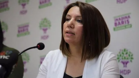 HDP’lilerin dağ kadrosundaki faaliyetlerini tek tek anlattılar!