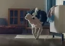 Bosch’un patili tuzağından İsrail çıktı!
