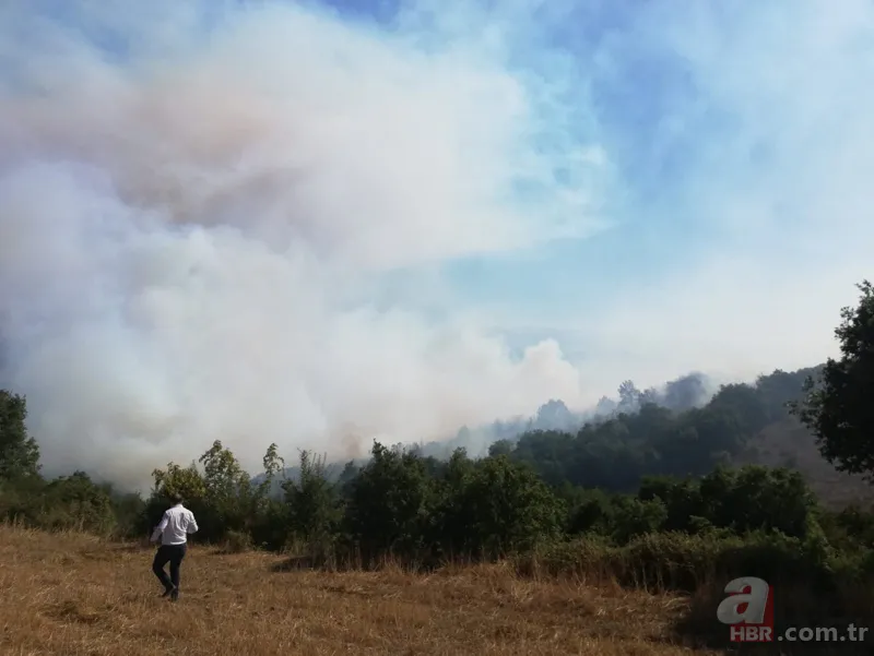 Bursa Yenişehir'de korkutan orman yangını! 14
