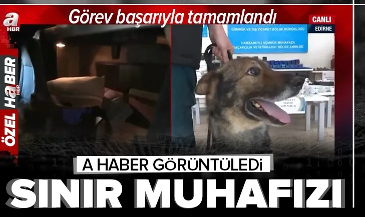 Sınırda kaçakçılık operasyonu! 9 milyon liralık kaçak eşya ve yedek parça ele geçirildi