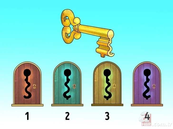 Bu zeka testine katılanların yüzde 17’si tüm soruları doğru cevapladı! Sosyal medyayı sallayan test 8