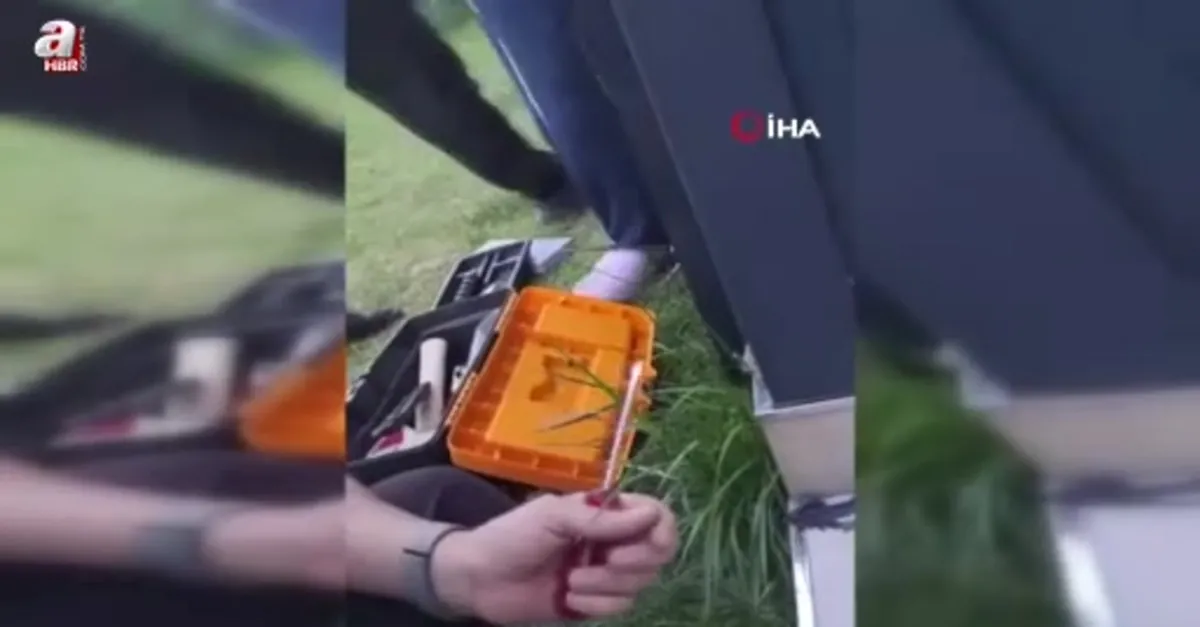 Pervaza sıkışan muhabbet kuşu kurtarıldı