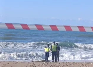 Karadeniz’de korkutan keşif! Kıyıya vurdu içinden çıkan şoke etti