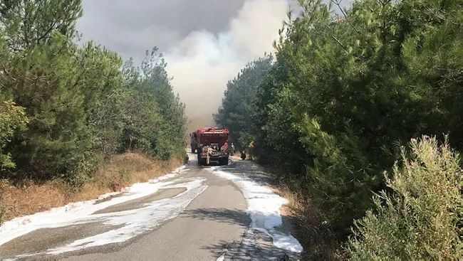 Bursa'da orman yangını çıktı! Olayla ilgili bir kişi gözaltına alındı - 4