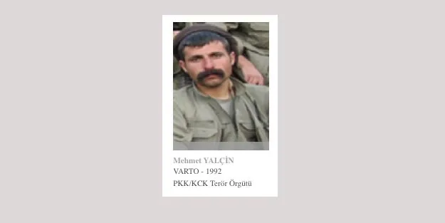 Fransa, terör örgütü PKK üyesi Mehmet Yalçın'ı Türkiye'ye sınır dışı etti - 1