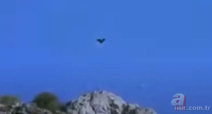 Dev kartalın nefes kesen kurt avı! Anne kurdun hatası pahalıya mal oldu 2