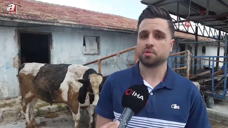 Kurbanlık almak isterken 200 bin TL dolandırıldı