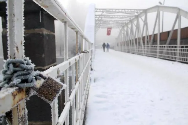Doğu Anadolu'da hava buz kesti! Ardahan'da örümcek ağları bile kırağı tuttu - 10