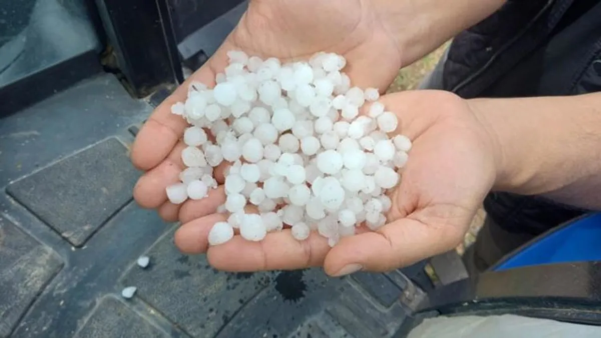 Diyarbakır’da dolu ekili arazileri vurdu
