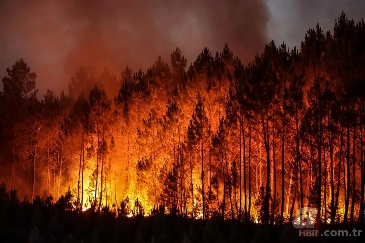 İspanya ve Fransa’da korkutan orman yangınları! 800 hayvan yaşıyordu