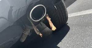 Müslüman ailenin evine domuz eti sürdü