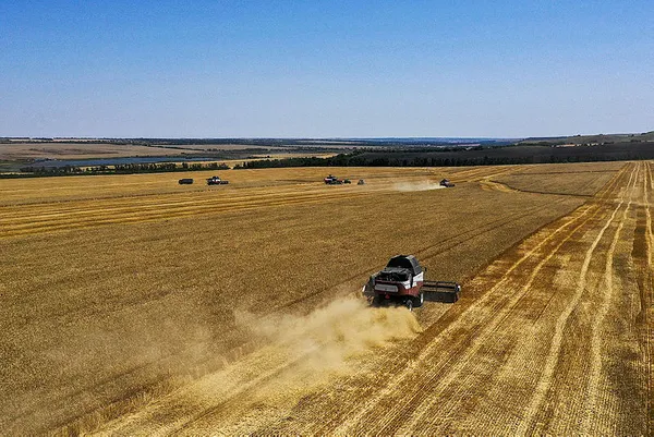 Dünyanın gözü Başkan Erdoğan'da! Tahıl koridoru meselesi nasıl çözülecek? ABD ve Alman basını umutlarını Türkiye'ye bağladı - 5