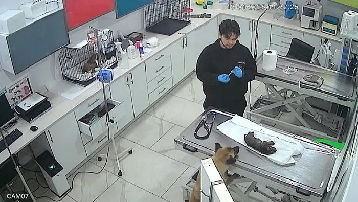 olmek-uzere-olan-yavrusunu-kurtardi-yavrusunu-veterinere-goturdu-1737056234220.jpg