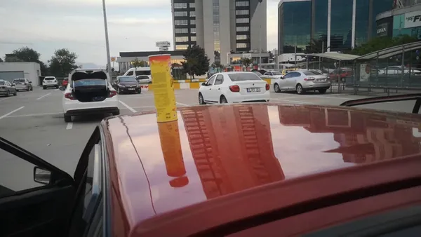 Son dakika | Bursa'da ilginç olay! Arabasının üstündeki cips kutusundan bakın ne çıktı? - 1
