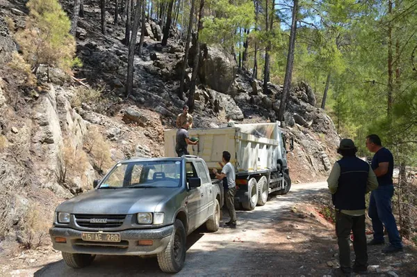 Manavgat'ta tohumlar filizlendi! Yeşile hasret bölgede sevindiren gelişme - 6