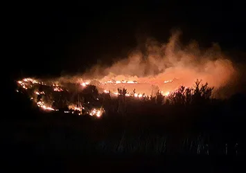 Malatya'da büyük bahçe yangını! Alevler yoğun çalışmaların ardından kontrol altına alındı