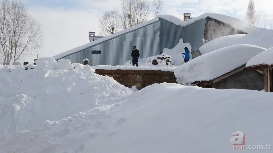Muş’ta bir köy kara esir oldu! Herkes elinde kürekle geziyor: 100 metre Bolu tüneli gibi tünel açtık 11