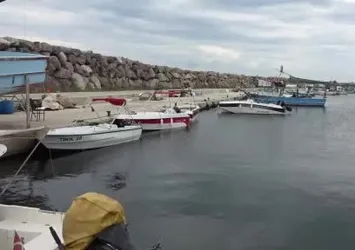 Balıkçılar bu sezon palamuttan umutlu