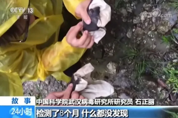 Son dakika: Koronavirüsün ortaya çıktığı Wuhan’dan şoke eden görüntüler! Yarasanın ısırdığı an kamerada!