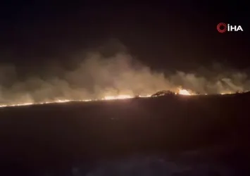 Manisa’da ağaçlık alanda yangın