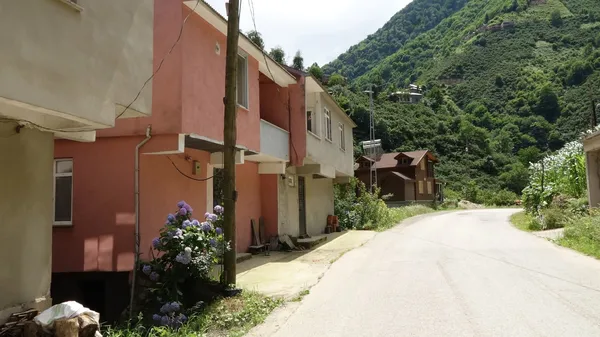 tosuncuk-giresunda-kacak-villa-yaptirmis-1625559473061.jpg Çiflik Bank vurguncusu Mehmet Aydın dosyasına gizlilik kararı! - 2