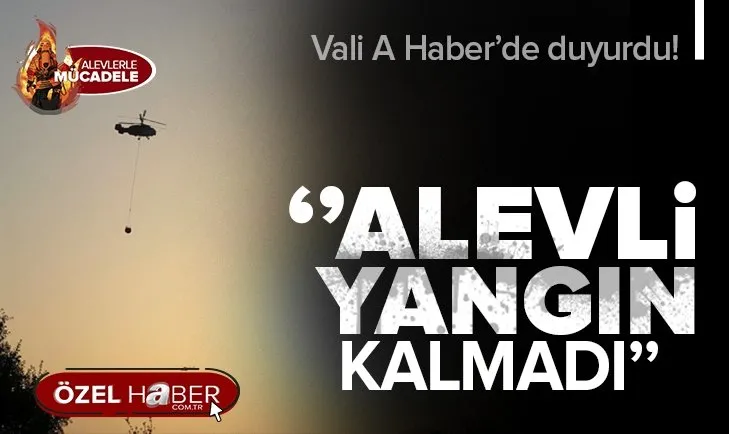 Denizli Valisi Atik A Haber’de yangınlara ilişkin son durumu aktardı