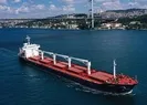 Tahıl sevkiyatında 2 gemi daha yola çıktı