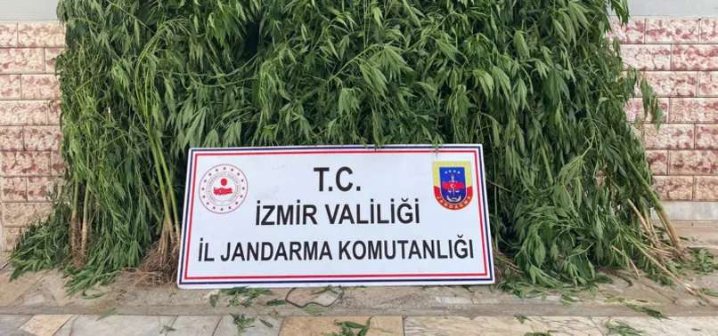 İzmir'de uyuşturucu operasyonu: 12 kişi tutuklandı
