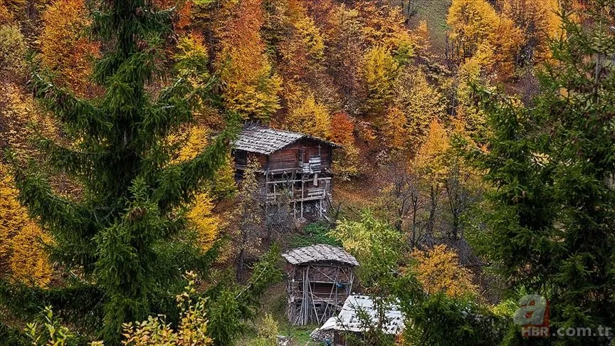 Pastırma sıcakları ne zaman, hangi tarihte başlayacak? Pastırma sıcakları hangi ayda olur? 1