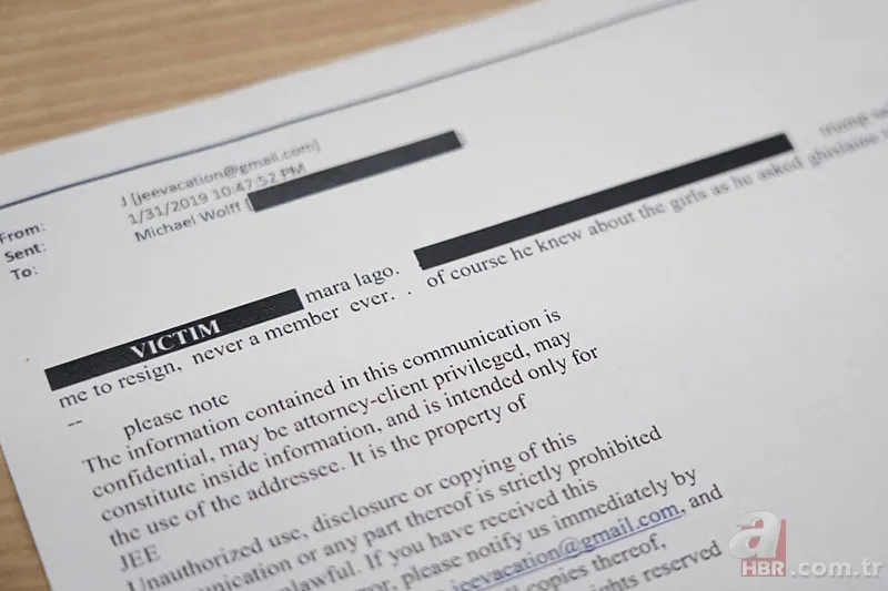 Fuhuş ağıyla suçlanan Epstein'in kardeşinden flaş iddia: Trump'la ilgili ne biliyor? 14