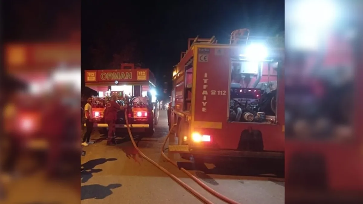 Hatay'daki ormanlık alanda yangın: Alevler kontrol altına alındı