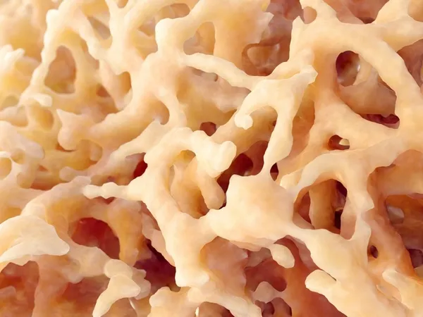 Bilim insanları araştırdı! Koronavirüste ömür boyu antikor umudu