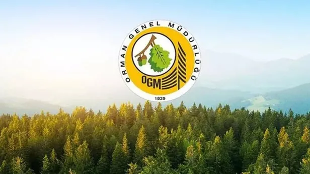 OGM personel alımı başvuru LİNKİ! OGM ve DSİ işçi alımı başvuru şartları açıklandı mı? OGM personel alımı detayları... - 1