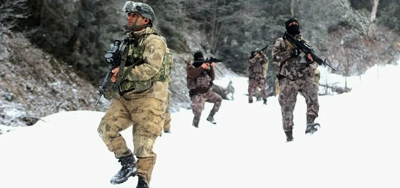 Doğu Karadeniz'de eş zamanlı terör operasyonu