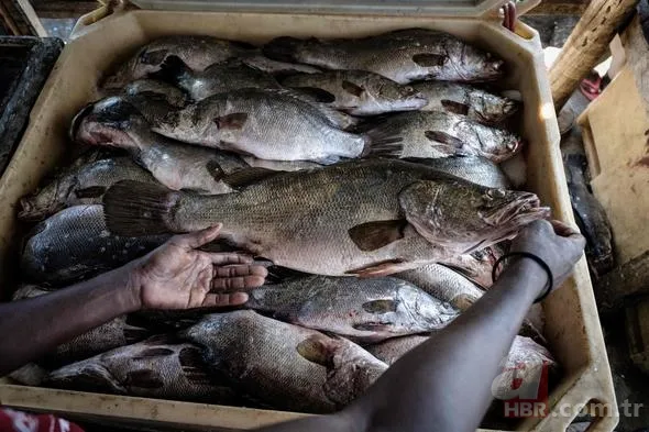 İşte dünyanın en kalabalık adası: Migingo Adası 12