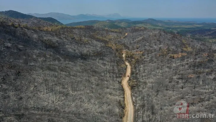 Marmaris orman yangını | Yanan orman alanı havadan görüntülendi