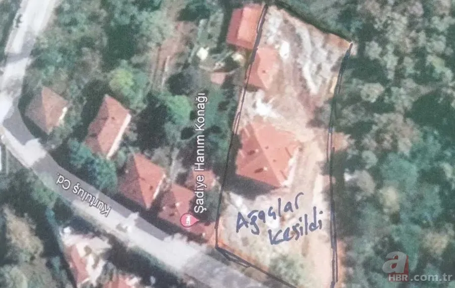 Sözde çevreci CHP’lilerden skandal! Kaz Dağları'nda ağaçları katledip betonla doldurdular | Doğa katliamına yeşil kamuflaj 9