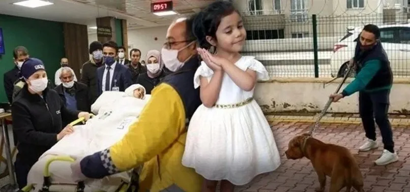 Asiye’ye pitbull saldırısında yeni gelişme: 3 sanık üçüncü kez tahliye oldu