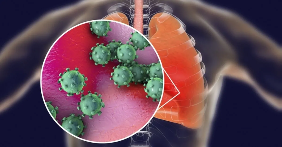 corona virusu nasil belli olur corona