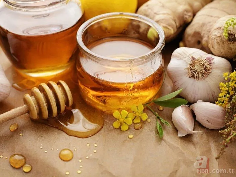 Kolesterol, tansiyon, kanser... Faydasını duyunca avuç avuç yutacaksınız: İbn-i Sina'nın asırlık reçetesi! 6