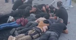 Koyun sürüsüne çarpan araçtan 14 kaçak göçmen çıktı!