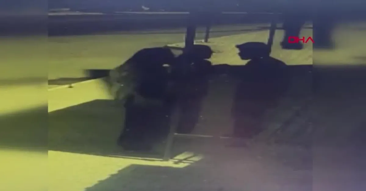 Dehşete düşüren görüntü! Tartıştığı eşine böyle kafa attı