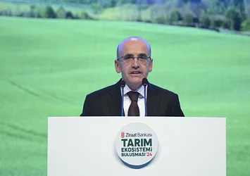 Hazine ve Maliye Bakanı Şimşek'ten enflasyon mesajı: Net sonuçlar almaya başladık! Tekrardan tek haneye düşüreceğiz