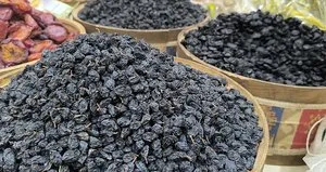 Kışa karşı doğal kalkan