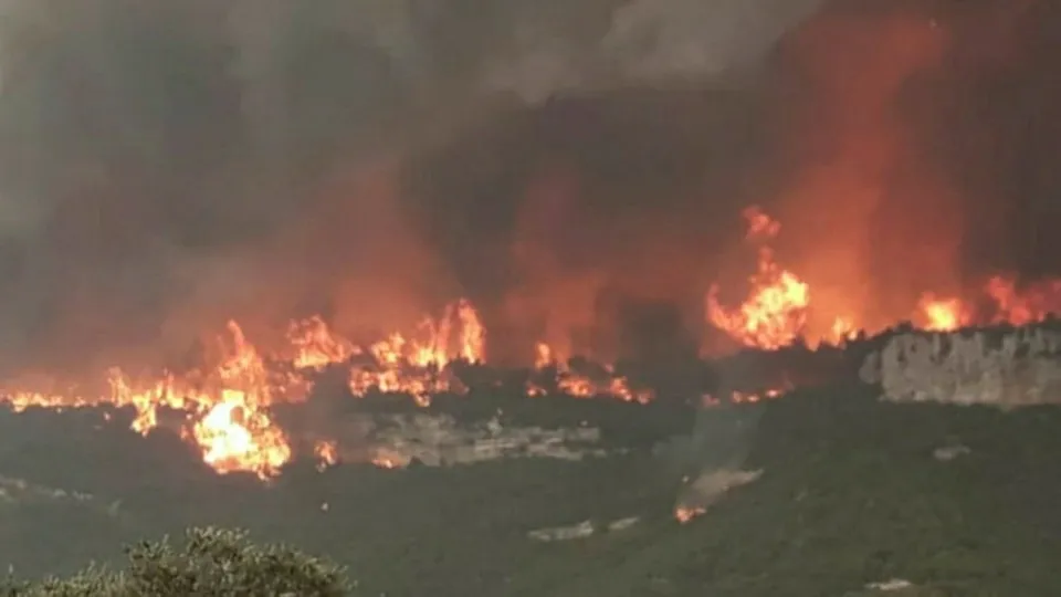 Hatay'daki yangından yürek yakan manzara