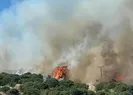 Çanakkalede korkutan orman yangını